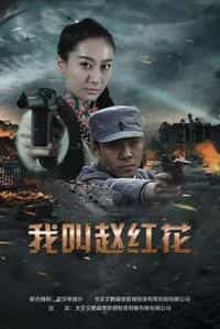 《我叫赵红花》电视剧在线观看 迅雷下载 百度网盘全集 虎看网