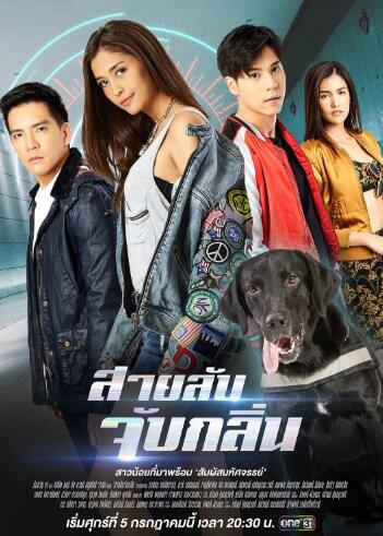 《侦探k9国语版/女孩与警犬》电视剧在线观看 - 迅雷下载 - 百度网盘